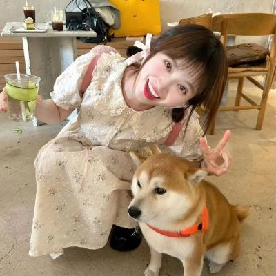 爱麻夫人热映中